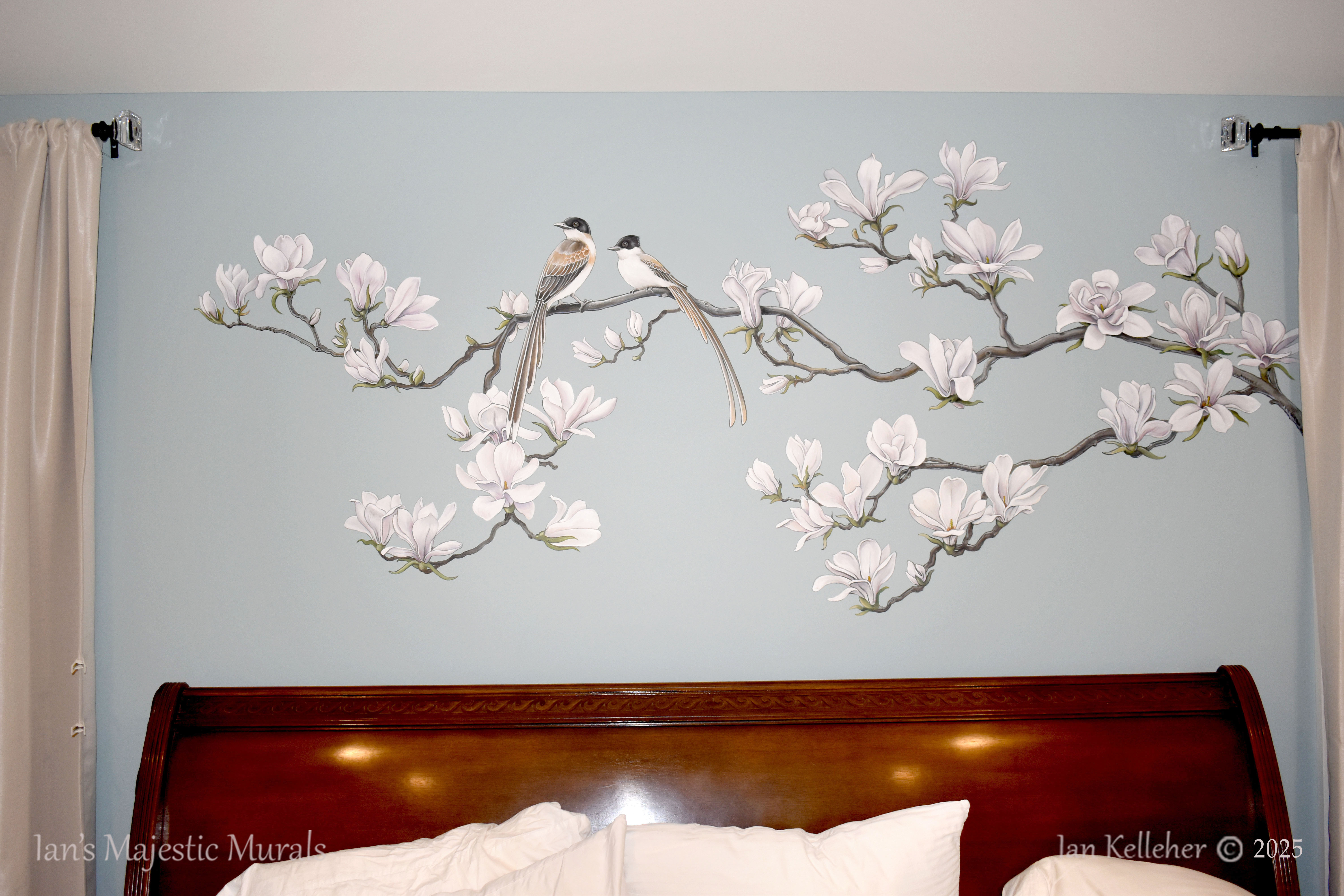 iankelleher_bird_magnolia_mural_01.jpg