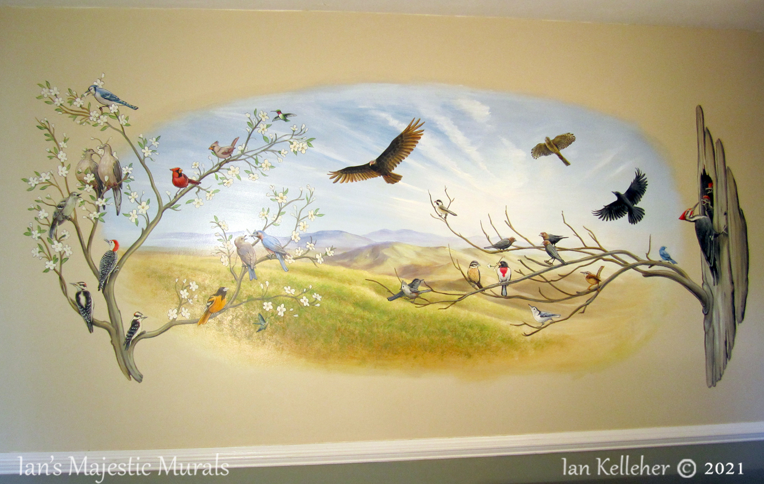 iankelleher_birdscene_web_01.jpg