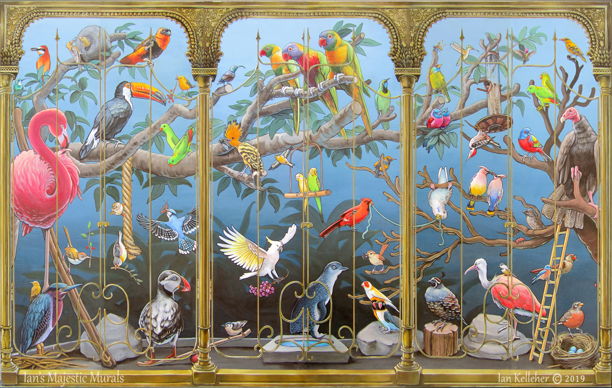 iankelleher_birdswildlife_web_01.jpg