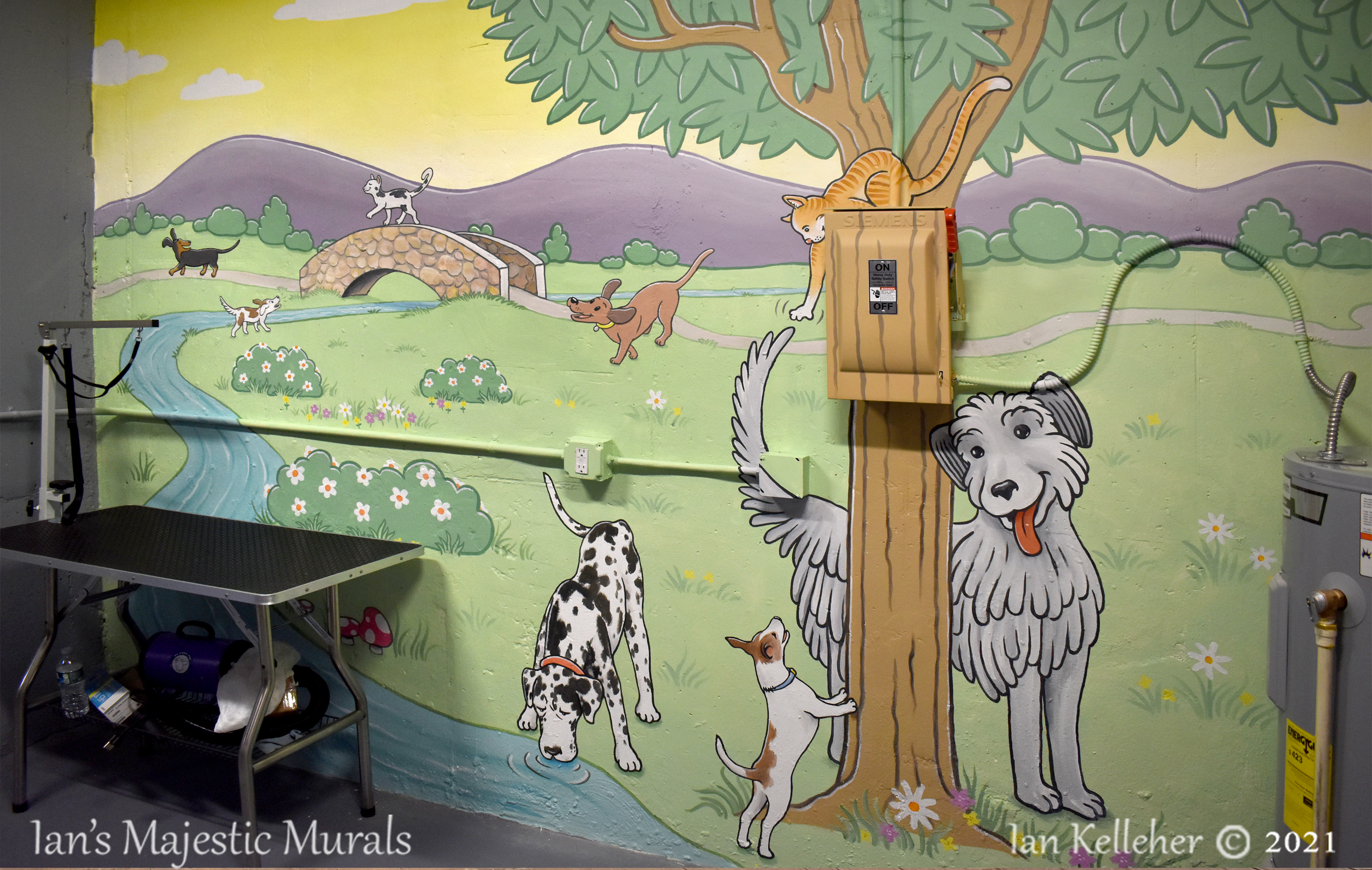 iankelleher_doggywash_web_01.jpg