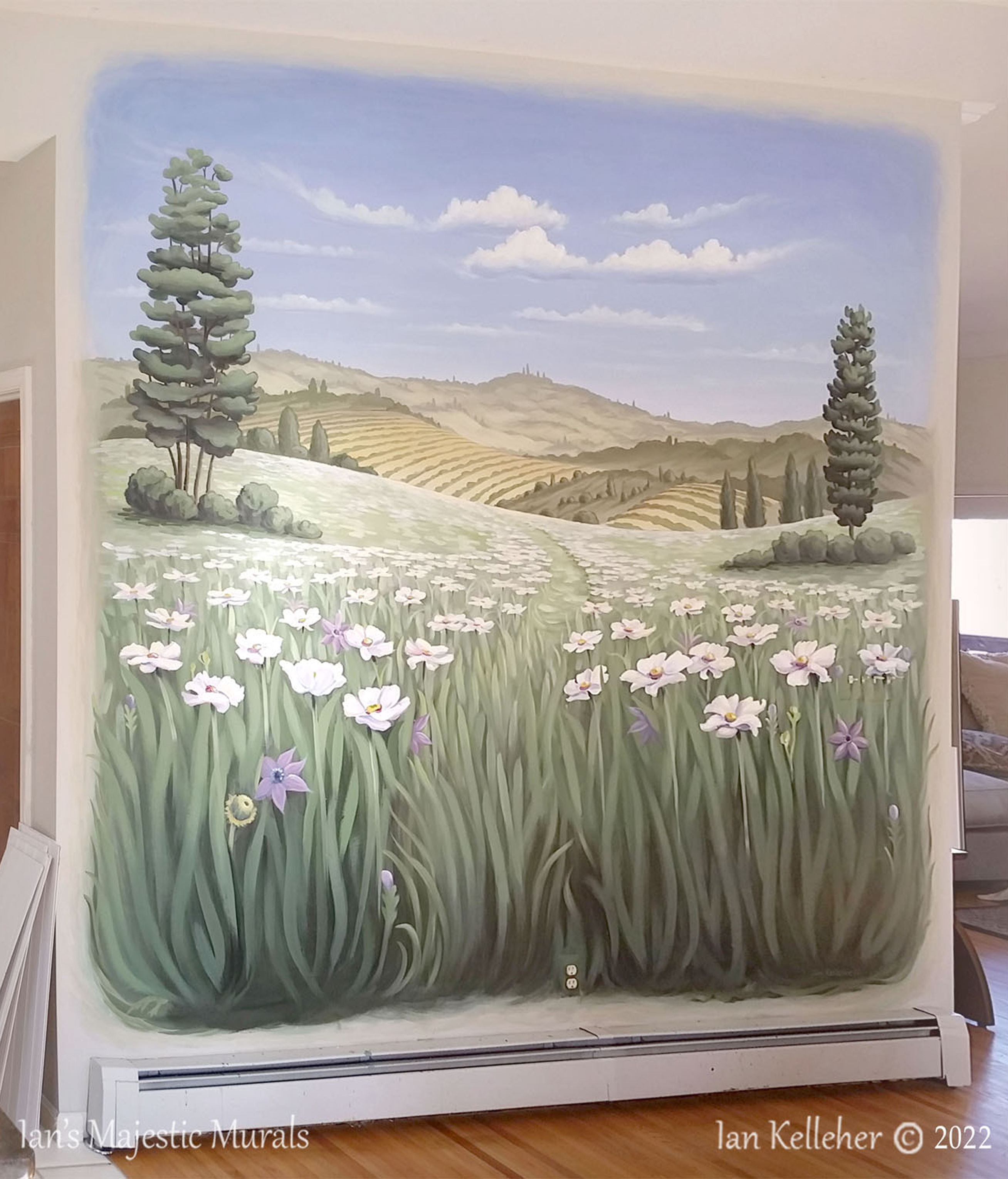 iankelleher_flowerfield_mural_web01.jpg
